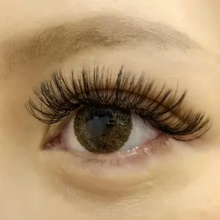 マツエク・マツパ Celeste Venus所属・🧸Celeste Venusのマツエク・マツパデザイン