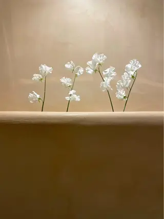 期間限定モデル募集* 【平尾高宮】黒田樹里のヘアスタイル