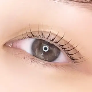 マツエク・マツパ 🌻まつ毛&眉毛 yukimi⛄️🖤の眉毛・アイブロウイメージ