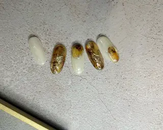 ネイル nail salon Nozomiのネイルデザイン