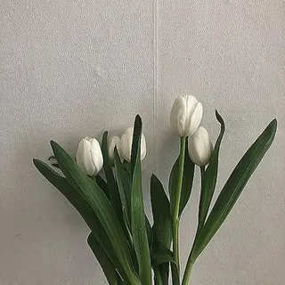 セミロング カラー 透明感/韓国風 🤍moeka🤍のヘアスタイル