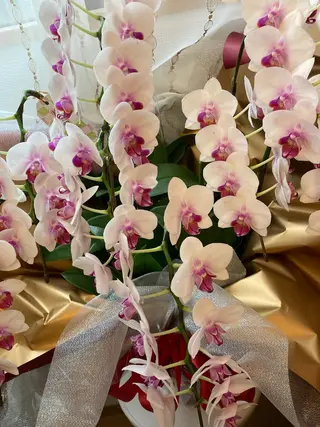 メナードフェイシャルサロン西熊本駅南所属・メナード 西熊本駅南のエステ・リラクイメージ