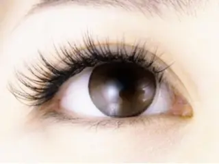 マツエク・マツパ mila.池袋LED エクステ・イガラシのマツエク・マツパデザイン