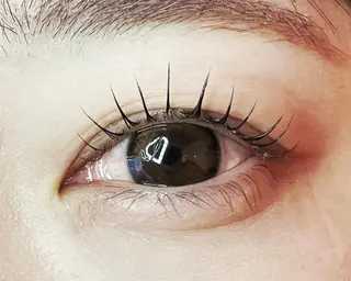 マツエク・マツパ Celeste Venus所属・🧸Celeste Venusのマツエク・マツパデザイン