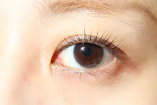 マツエク・マツパ La’dor所属・Eyelash Mariaのマツエク・マツパデザイン