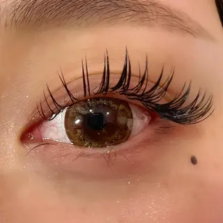 マツエク・マツパ Celeste Venus所属・🧸Celeste Venusのマツエク・マツパデザイン