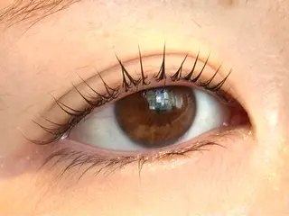 マツエク・マツパ eyelash salon RACOTA所属・MAYA .のマツエク・マツパデザイン