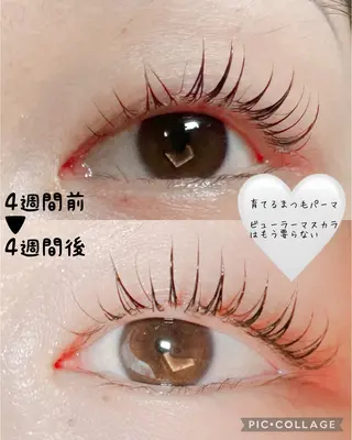 マツエク・マツパ ate eyelash 和泉府中店【まつげパーマ/ラッシ ユリフト/LED/東感バインド/眉毛】所属・もり まゆみのマツエク・マツパデザイン