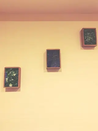 姿勢・体質改善サロンCOTO所属・姿勢・体質改善サロン COTOのエステ・リラクイメージ