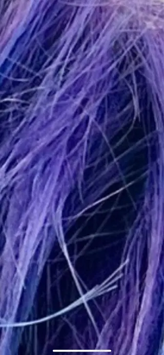 ショート カラー 🥣ブリーチ・カラー 平城秀馬/原宿のヘアスタイル