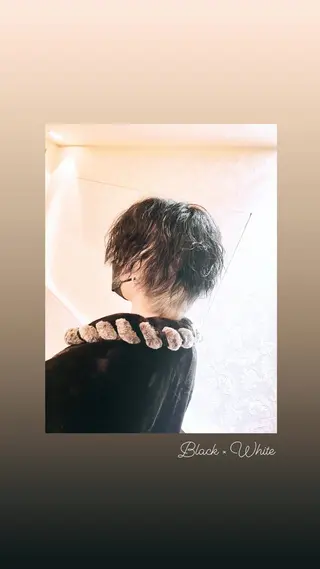 ショート カラー メンズ ハイライト/インナー /ブリーチ/レイヤーのヘアスタイル