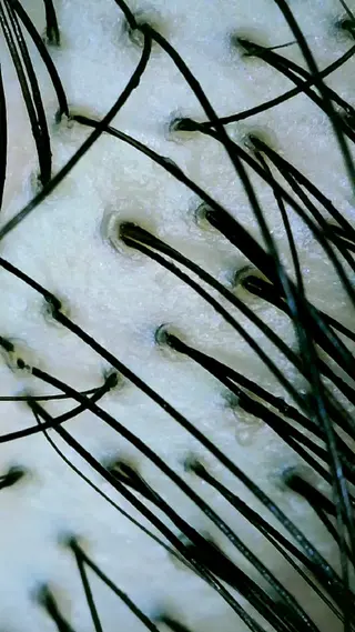 Laby.spa/Labyrinth所属・ヘッドスパ／耳つぼ Laby.spaのヘアスタイル