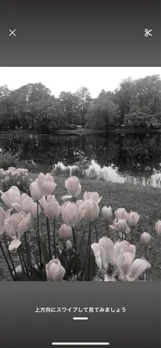 🖤:抜け感×大人 透明感カラー/Aoiのヘアスタイル