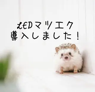 マツエク・マツパ Ailes Yuki代表のマツエク・マツパデザイン