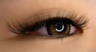 マツエク・マツパ Fameu+ HIMEKAのマツエク・マツパデザイン