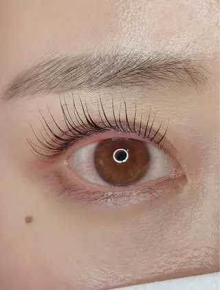 マツエク・マツパ TIARA池袋西口店 店長YASUKA💐のマツエク・マツパデザイン