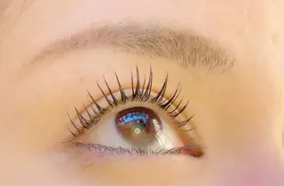 マツエク・マツパ 【那覇/束感まつ毛】 キャメルのマツエク・マツパデザイン