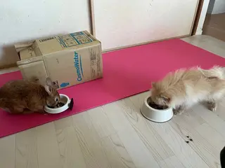 Sona hair & eyelash salon所属・紙屋 隼人のヘアスタイル