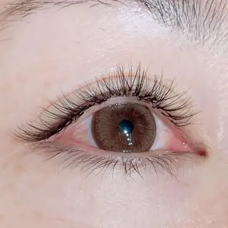 マツエク・マツパ サロン ダリアのマツエク・マツパデザイン