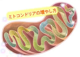 ショート カラー パーマ ヘアアレンジ メンズ キッズ ネイル マツエク・マツパ ‍痩身＆ボディ 結果出し🌟丹野のエステ・リラクイメージ