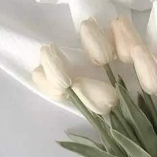 feliz eyelash所属・おざき ゆきののマツエク・マツパデザイン