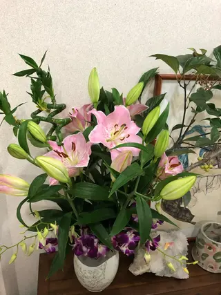 ナチュレ所属・ナチュ レのマツエク・マツパデザイン