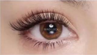 マツエク・マツパ Voyage serein 【ヴォヤージュスラン】所属・心斎橋　Voyage serein🌙のマツエク・マツパデザイン