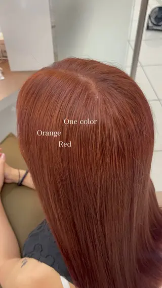 ロング カラー 羽エクステ/シール エクステ/横浜駅5分のヘアスタイル