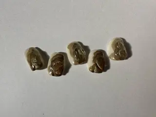 ネイル NOAHL所属・asuka🍋 ネイルモデル募集中のネイルデザイン