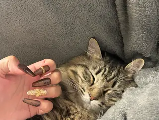 ネイル MYu Beauty Salon YURIのネイルデザイン