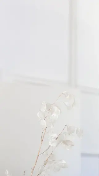 メンズ マツエク・マツパ アイブロウ Lash&brow PORTE269布施店所属・brace 竹田愛海のエステ・リラクイメージ