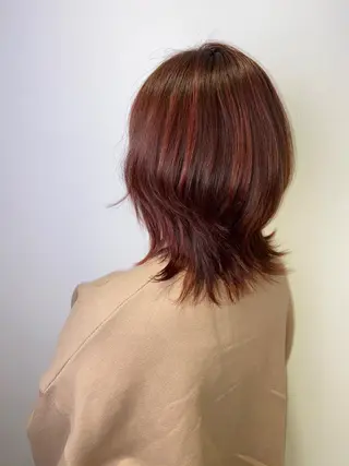 ミディアム カラー 🐺ウルフ/レイヤー 似合わせ‎🤍沙羅のヘアスタイル