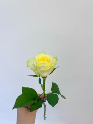 暖色カラー／ ヘアセット🌛櫻井舞のヘアスタイル