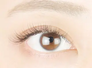 マツエク・マツパ me. 渋谷駅/miyuのマツエク・マツパデザイン