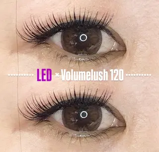 マツエク・マツパ LEDエクステ専門店 Fedis 京橋のマツエク・マツパデザイン