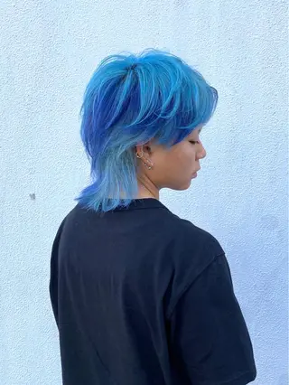 ショート カラー ハイトーン/レイヤー /ウルフ⭐️永田⭐️のヘアスタイル