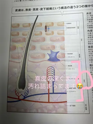 枝廣 貴子のエステ・リラクイメージ