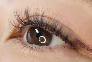 マツエク・マツパ 《eyelash ｉｉｔｅ》森のマツエク・マツパデザイン