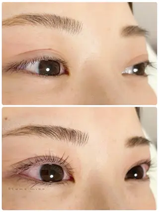 マツエク・マツパ Plume micoのマツエク・マツパデザイン