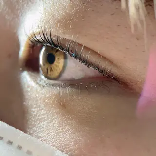 マツエク・マツパ MT所属・M Tのマツエク・マツパデザイン