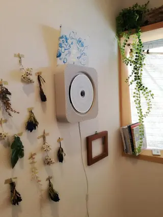 佐藤 美咲のヘアスタイル