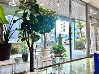 細川武琉/艶カラー /Aqua limeのヘアスタイル