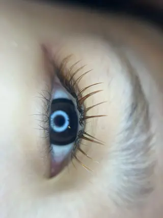 マツエク・マツパ 木島 安衣のマツエク・マツパデザイン