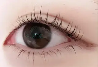 マツエク・マツパ EyelashSalon Liz.&所属・Liz.&現ino 平田のマツエク・マツパデザイン