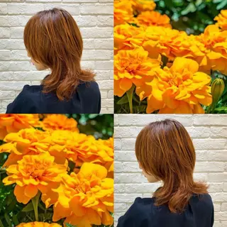 セミロング カラー 🍎ハッシュカット× 髪質改善🍎カイトのヘアスタイル