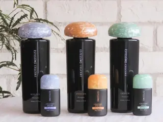 ショート カラー ヘアアレンジ stylist/蛯谷 珠里のヘアスタイル