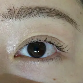 マツエク・マツパ daisy lash天王寺 池阪の眉毛・アイブロウイメージ