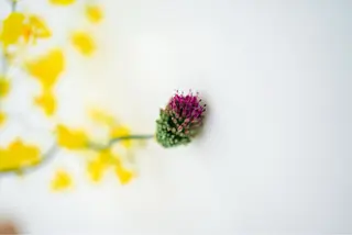 カラー 髙井 麻帆のヘアスタイル