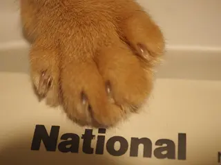 ネイル Mogu nail 二子玉川のネイルデザイン