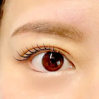 マツエク・マツパ モデル募集中 新小岩LEDエクステの眉毛・アイブロウイメージ